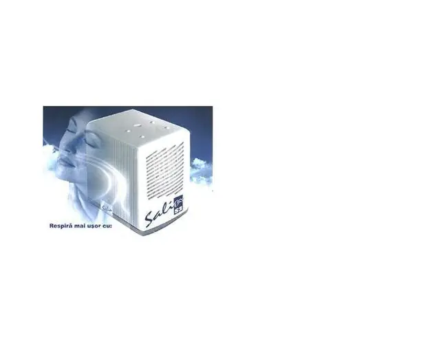 Purificator de aer Salin S2