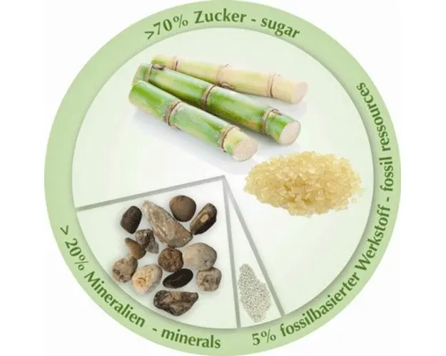 Reductor WC bio-degradabil Panda din trestie de zahar Rotho-babydesign