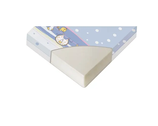 Saltea mobilier Classic 621106 cm