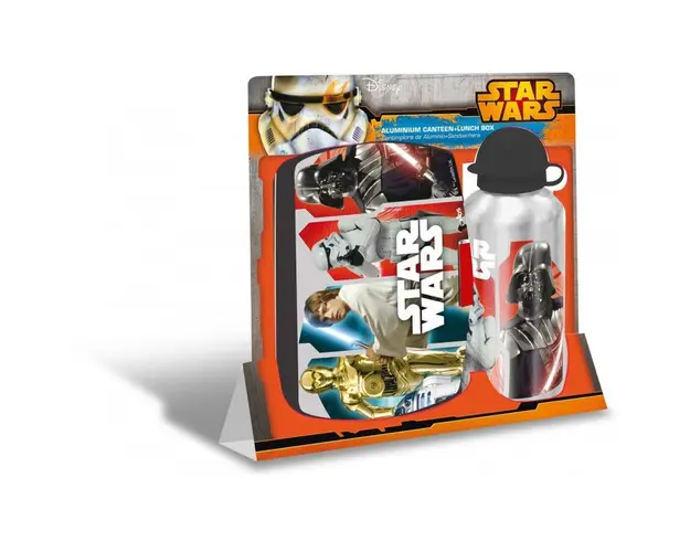 Set recipient apa Al 500ml si cutie pranz Star Wars gri