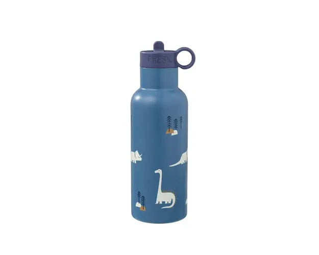 Sticla esentiala termos pentru copii 500 ml model Dino