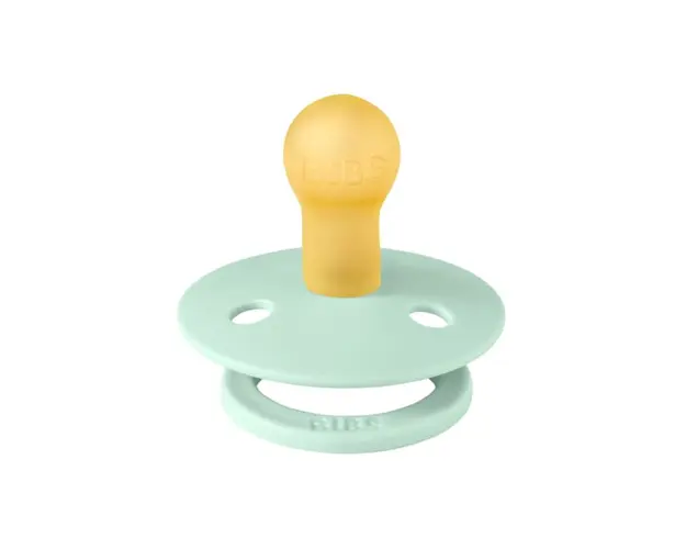 Suzeta Colour Latex Bibs tetina rotunda 0 luni + Nordic Mint