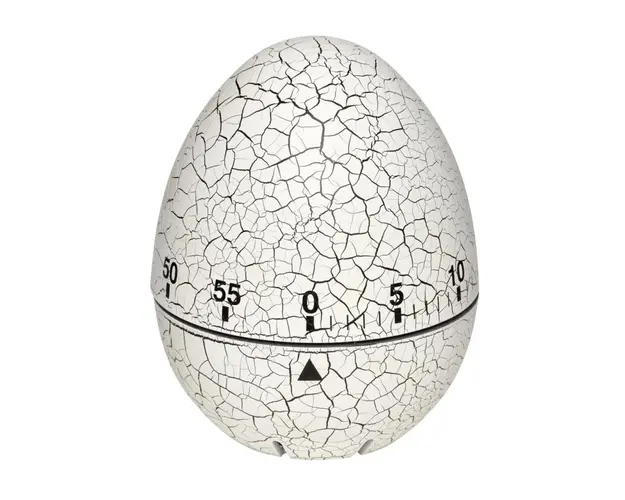 Timer analog pentru bucatarie din otel inoxidabil EGG Alb