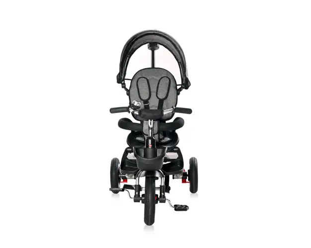 Tricicleta pentru copii Zippy Air control parental 12-36 luni Graphite
