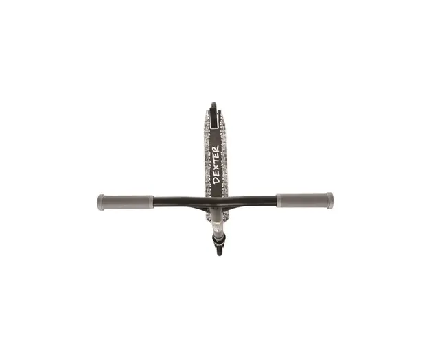 Trotineta pentru copii Dexter City Steel Grey