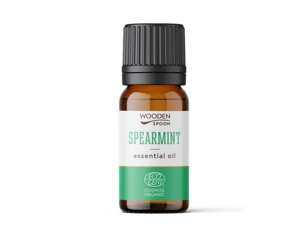 Ulei esential de menta creata Spearmint Wooden Spoon bio 5ml