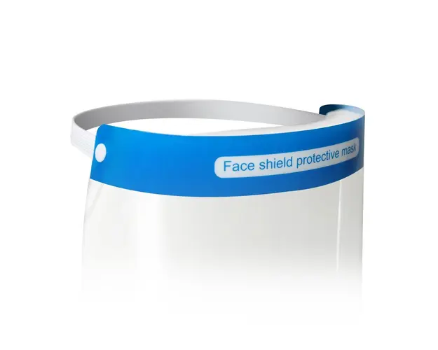 Viziera de protectie Easycare 32x22cm antiaburire cu burete si elastic