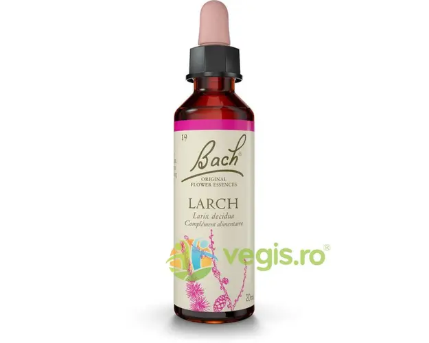 Bach 19 Larch (Larita) Picaturi 20ml