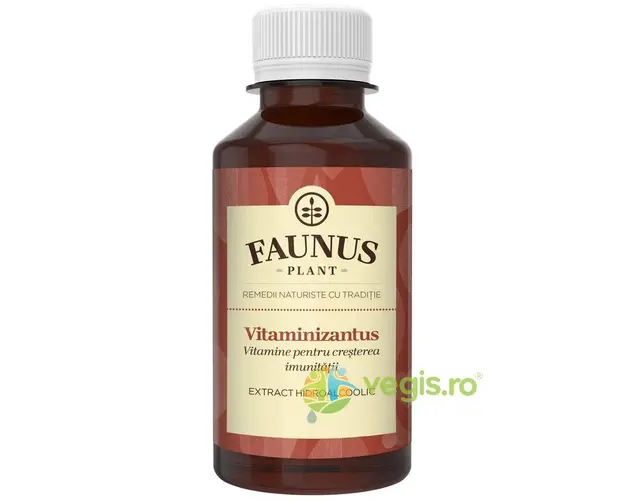 Tinctura Vitaminizantus 200ml