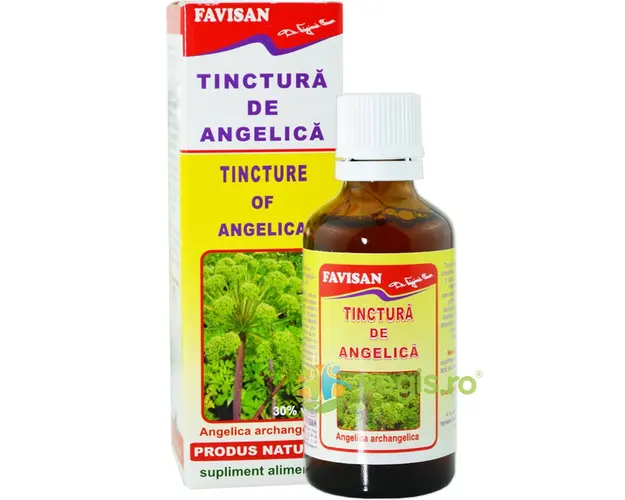 Tinctura De Angelica 50ml