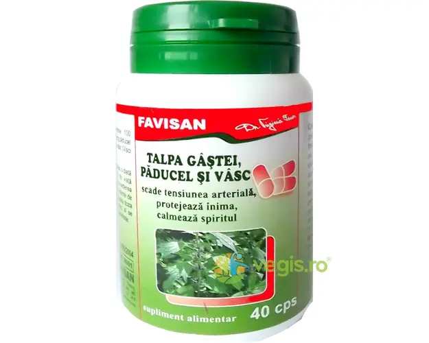 Talpa Gastei, Paducel si Vasc 40cps