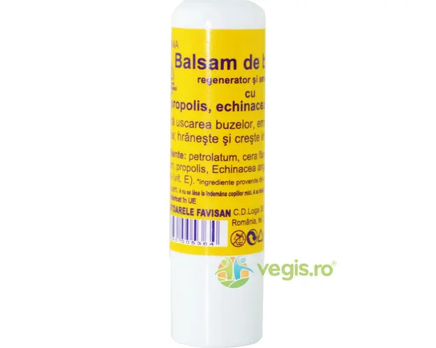 Virginia Balsam pentru Buze cu Echinacea Bio 5ml
