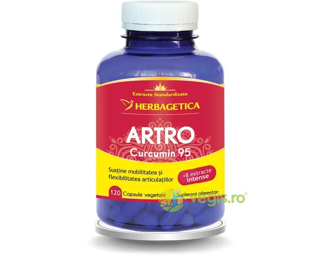 Artro Curcumin 95 120cps