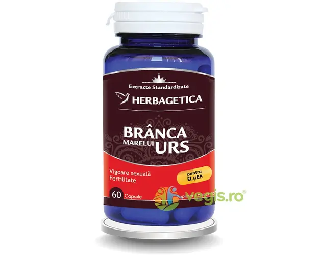 Branca Marelui Urs 60cps