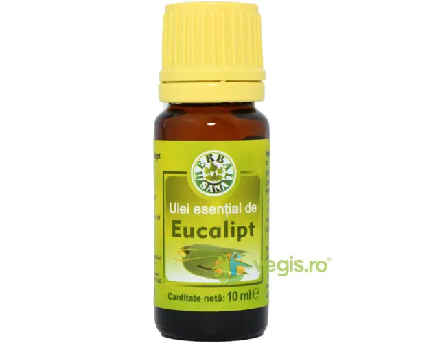 Ulei Esential De Eucalipt 10ml
