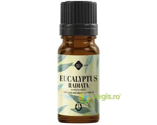 Ulei Esential de Eucalipt Radiata 10ml