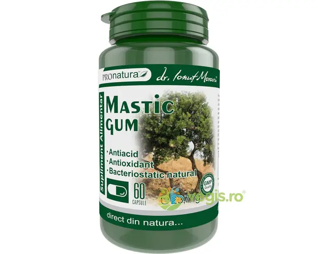 Mastic Gum 60cps