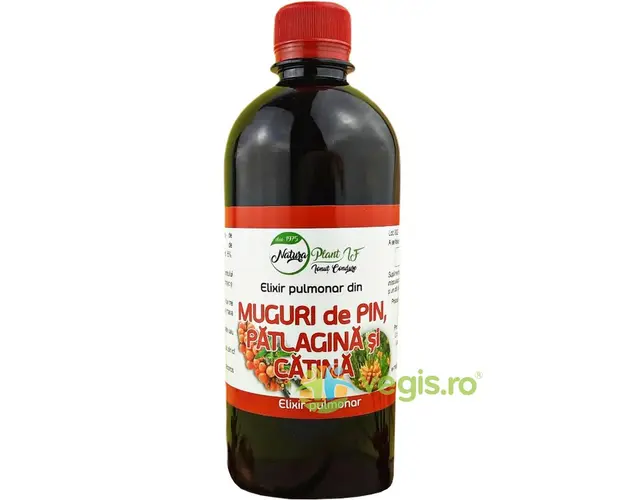Elixir Pulmonar din Muguri de Pin, Patlagina si Catina 200ml