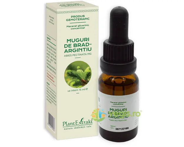 Concentrat Muguri de Brad Argintiu 15ml