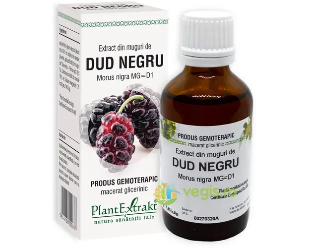 Extract din Muguri de Dud Negru 50ml