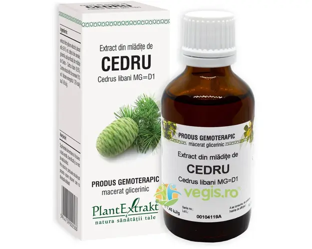 Extract din Mladite de Cedru 50ml