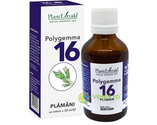 Polygemma 16 (Plamani) 50ml
