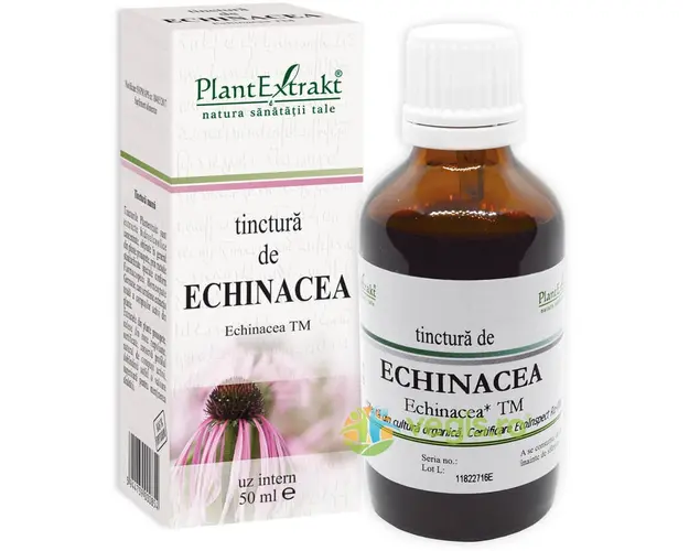 Tinctura Echinacea 50ml