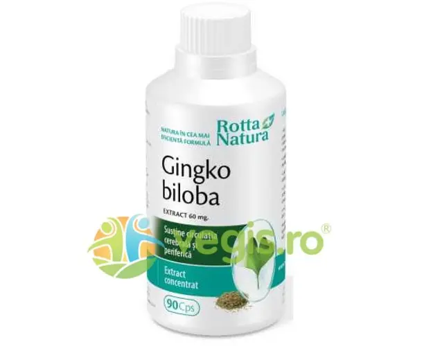 Ginkgo Biloba Extract 60mg - 90cps
