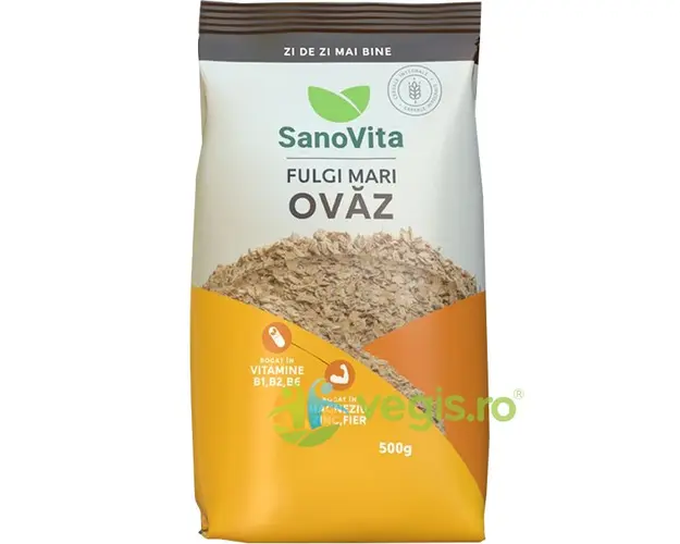 Fulgi Mari de Ovaz 500g