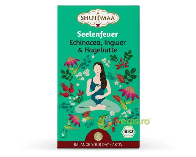 Ceai cu Echinacea, Ghimbir si Macese Valance Your Day-Lifespring Ecologic/Bio 16dz