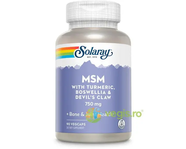 MSM 750mg (Metilsulfonilmetan) 90cps Secom,