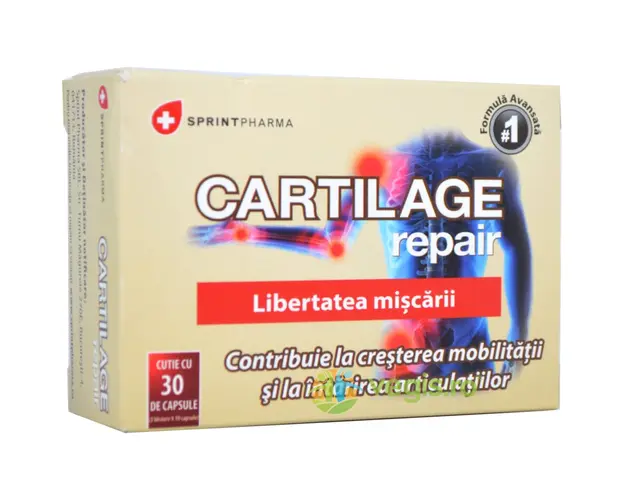 Cartilage Repair 30cps