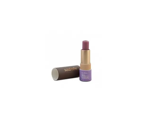 Balsam buze cu Violete si unt de Kokum, 3.5g - Soultree