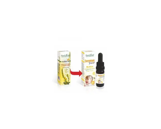 Energotonic junior - Mullein picaturi pentru sanatatea urechii, 15