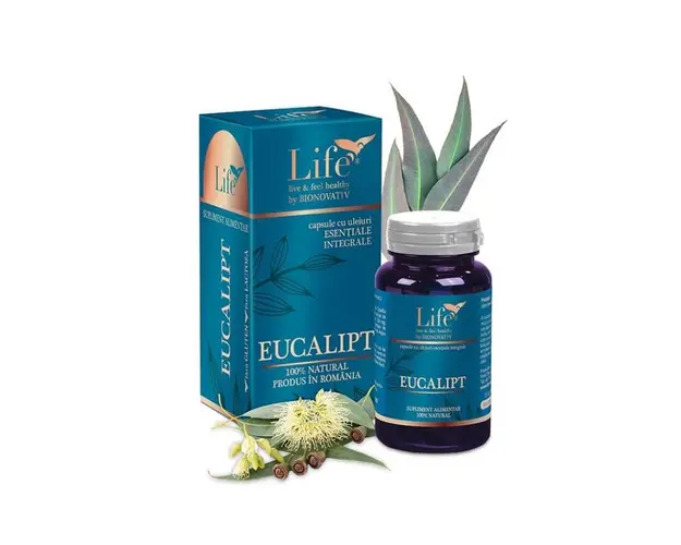 Eucalipt capsule cu uleiuri esentiale 30 capsule - DVR Pharm
