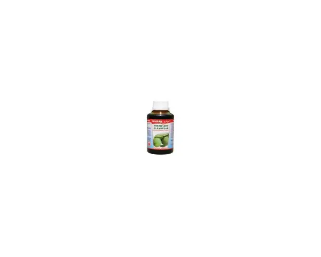 FORTIFIANT GLANDULAR EXTRACT DIN NUCI VERZI, 100ml - Favisan
