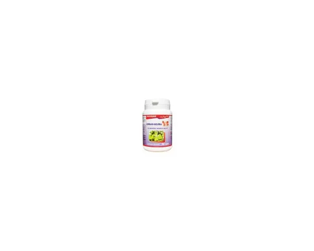GINKGO BILOBA, 40cps - Favisan