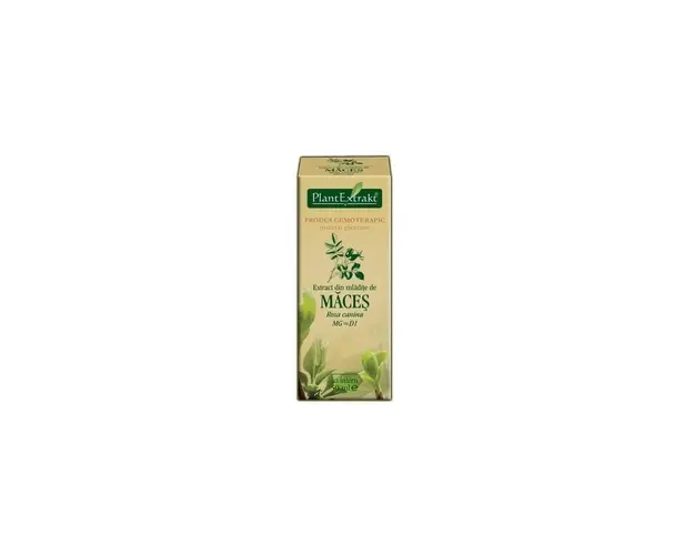 MACES - mladite - gemoderivat - 50ml - PlantExtrakt