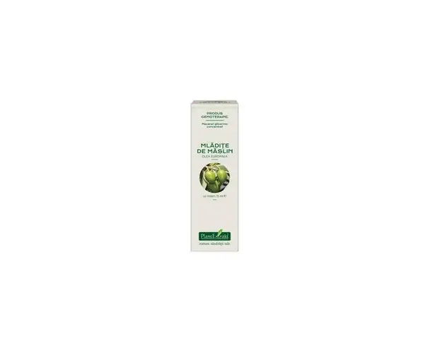 MASLIN - mladite concentrat - gemoderivat - 15ml - PlantExtrakt