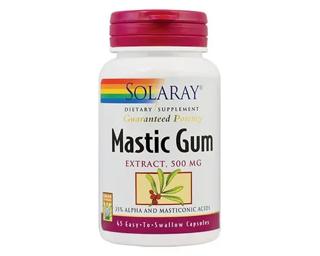 MASTIC GUM 500mg - SOLARAY - SECOM