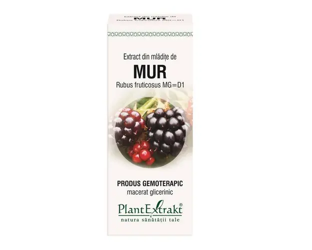 MUR - mladite - gemoderivat - 50ml - PlantExtrakt