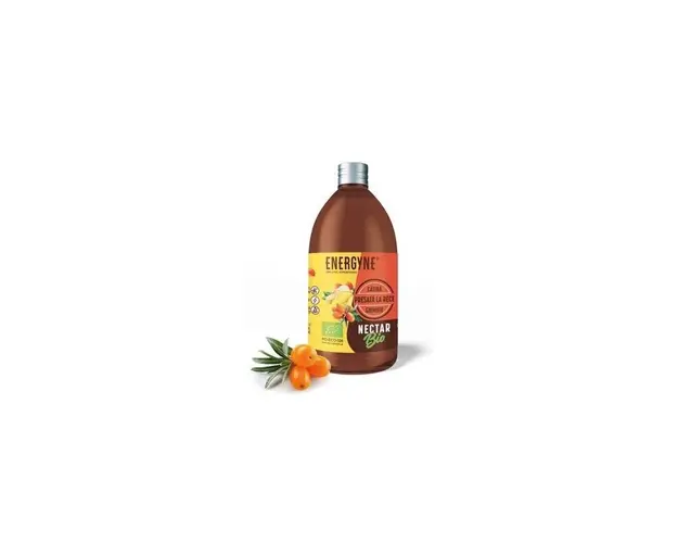 NECTAR DE CATINA CU GHIMBIR ECO-BIO 250ml - ENERGYNE