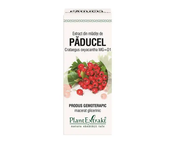 Paducel - mladite - gemoderivat - 50ml - PlantExtrakt