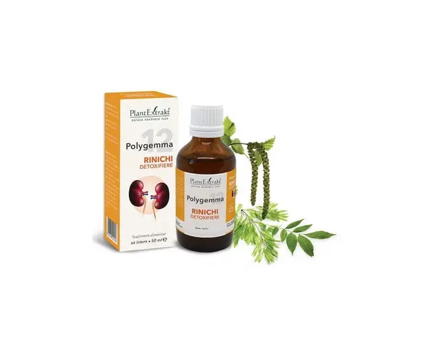 Polygemma 12 - Rinichi detoxifiere 50ml Plantextrakt