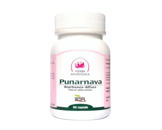 Punarnava, tonic al cailor urinare 400mg, 60cps - Herba Ayurvedica