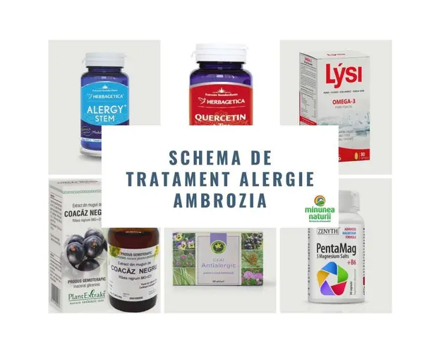 Schema de tratament antialergic I (alergie la ambrozia)