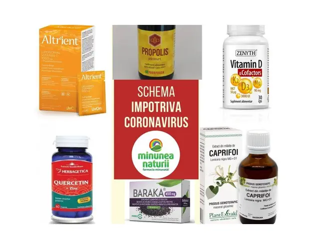 Schema naturala adjuvanta impotriva Coronavirus - COVID-19