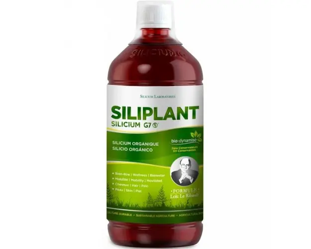 SILICIU G7 SILIPLANT - Siliciu organic extras din planta