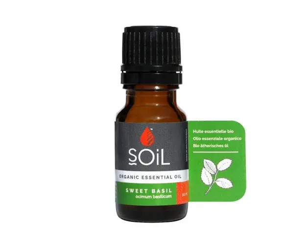 Ulei Esential Busuioc, 10ml - SOiL