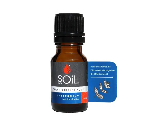 Ulei Esential Menta, 10ml - SOiL